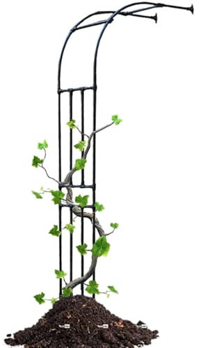 Genérico Medio Lado Arco de jardín, 60 x 240 cm, 90 x 240 cm, 120 x 240 cm, Arco de Rosas Exterior Robusto, Pequeño Enrejado para hortalizas, Flores Plantas trepadoras(Negro,H240 x W260cm)