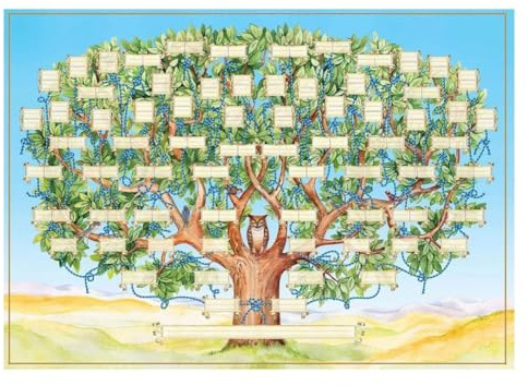 Buqpow Family Tree Chart to Fill in - Blank Ancestry Chart 6-Generation Fillable Genealogy Chart Genealogy Supplies