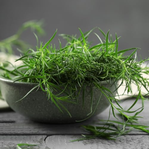 semi di dragoncello biologici - selvatiche, giardino da interno, esotico 200pcs