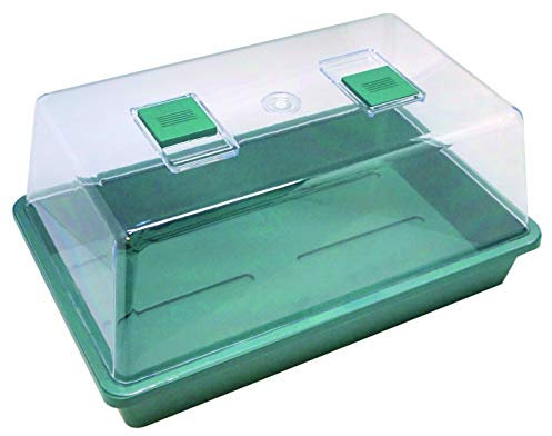 Biotop B2015B Germinador de Semillas, Invernadero Mini en Color Verde, 38 x 18 x 24 cm