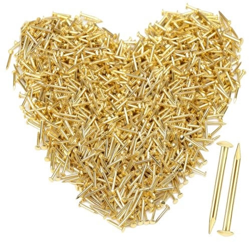 1600 Pezzi Chiodi Dorati a Testa Tonda, Chiodi Piccoli per Appendere Quadri, Set Chiodi in Ottone per Parete, Chiodi per Fai da Te Cornici Montaggio Mobili (Oro)