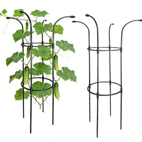 Enrejado de paraguas – Soporte estable para plantas trepadoras – Jaula de soporte de flores al aire libre | para vid, rosa, clemátide, verduras, fruta del dragón, pepino, hortensias y jazmín