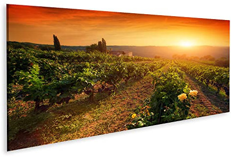 islandburner Tableau sur toile Raisins mûrs vignes Toscane Italie vignoble coucher de soleil temps de lumière c Cadre Affiche Poster Murale Tableaux