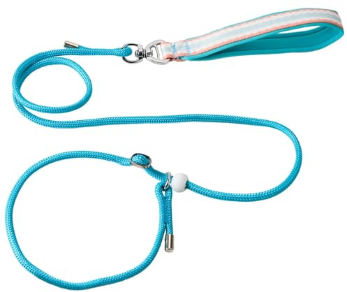 Slip Lead for Dogs Adjustable Collar Tangle-Free 1.5m Thin Training Leash Anti Pull Anti-Choking Nylon Dog Slip Leads Rope for Outdoor Puppy Small Medium Large Dogs (Blue)