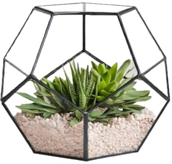 Toemics Small Geometric Terrarium Planter Little Plant Container Glass Moss Plant Pot for Succulent, Cacti, Air Plants Indoor Home Garden Tabletop Decor, Black