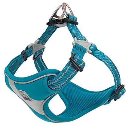 TRUE LOVE Dog Harness TLH5991 Anti Pull Safety Vest Step-in Style Harness for More Comfort and Less Tug Reflective Pet Harness by Truelove Blue