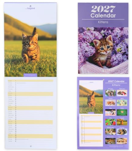 2027 Wall Calendar Slim Cute Kittens Slim Month to View Family Planner | UK-Made Hanging Calendar with UK Holidays, Important Dates, Year Overview and Writing Space - Size 42 x 14.5cm When Open