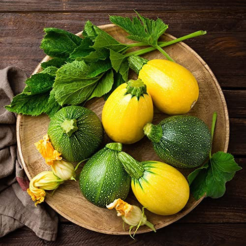Runde Zucchini Samen Mix GemüSesamen WintergemüSe Samen Alte Sorten Zuchini Saat Balkon GemüSe Winterharte Pflanzen FüR Garten Kletterpflanzen Winterhart Gartenpflanzen Pflanzensamen 50 Zucchinisamen