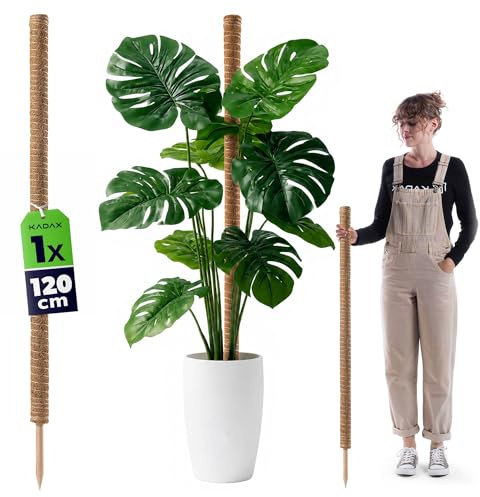 KADAX Monstera - Bastone per piante da appartamento in fibra di cocco (120 cm), asta di cocco e muschio per piante d'appartamento, rampicante e supporto per piante per interni ed esterni