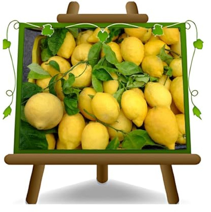 EURO PLANTS VIVAI Agrios Limón Sfusato Amalfitano Planta De Fruta En Planta en Florero De 22- Árbol Max 60~80cm