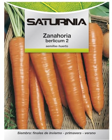 Semillas Huerto Zanahoria Berlicum