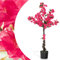 SPOTRAVEL 105 CM Artificial Plum Potted Plant, Fake Plum Blossom Tree with with 96 Flowers & Realistic Trunk, Faux Decorative Tree for Home Office Porch (1)