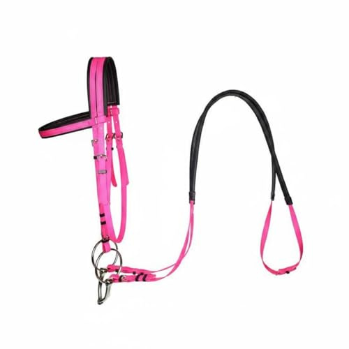 Gralara Horse Bridle with Bit Padded PVC Horse Bridle for Stables, Pink