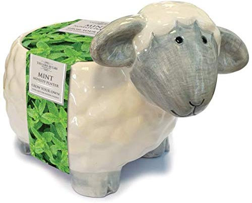 Taylors Bulbs Ceramic Novelty Sheep Planter with Ornamental Mint