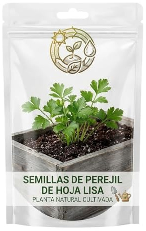 DECOALIVE Semillas de Perejil para Maceta y Jardín | Planta Aromática para Cocina Casera
