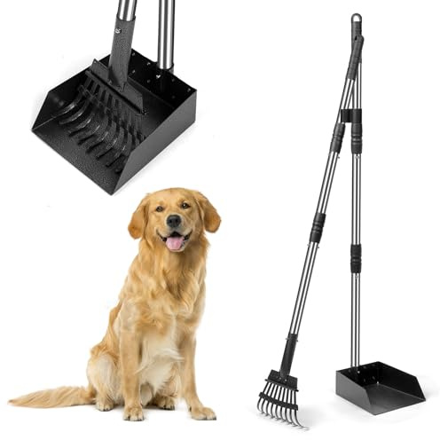YGNNXRN Raccogli Cacca Cane con Manico Lungo da 96 cm – Set con rastrello e Vassoio in Metallo Staccabili – per Cani Grandi, Medi e Piccoli – Ideale per Giardino, Erba, Terra o Ghiaia