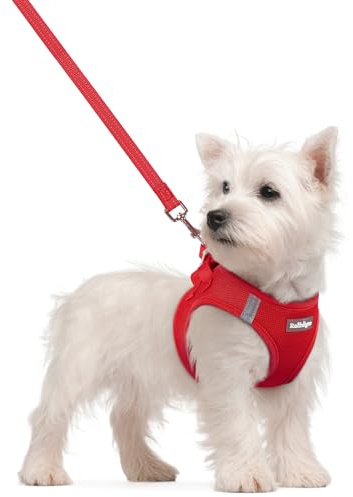 rabbitgoo Pettorina Cane Taglia Piccola con Guinzaglio Riflettente, Imbracatura per Cani Regolabile, Morbida Traspirante, Fcile da Indossare, Pettorina per Cani Piccoli Cuccioli Gatti, Rosso M