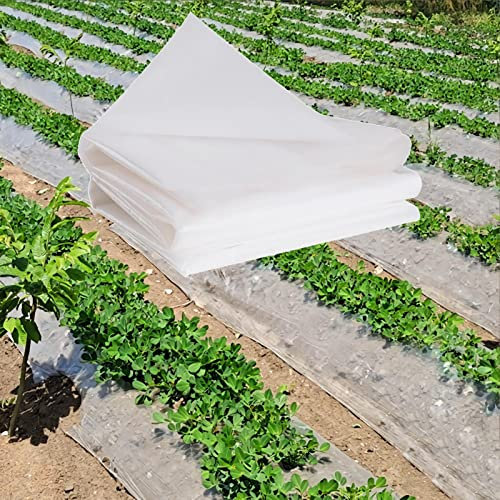 Pellicola in polietilene trasparente resistente 80 micron di spessore, impermeabile, copertura in plastica per serra, tunnel stagnola, agricoltura, pittura, resistente alla polvere e ai danni del