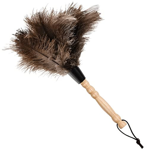 Plumero de avestruz natural antiestático, 32 cm, mango de madera roscado, para monedas, esquinas, estantes