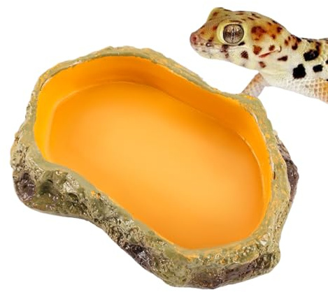 Bol d'eau pour reptiles, plat d'eau serpent | Bassin Station d'alimentation Plat de nourriture - Bols de Terrarium d'alimentation pour reptiles, bol de nourriture pour animaux sûrs pour la décor