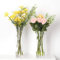 Toowood Glass Vase, Modern Creative Glass Vase, Living Room Flower Arrangement Hydroponic Flower Arrangement, Desktop Crafts Ornament (Clear, 1)