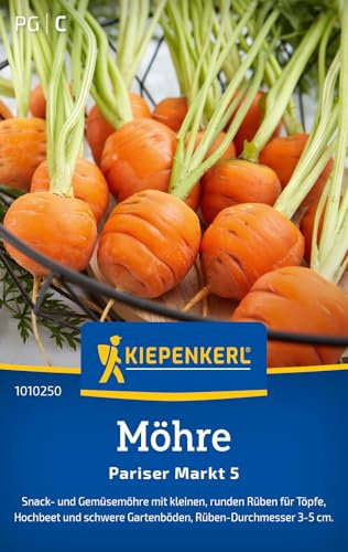 Kiepenkerl Pariser Markt 5 1010250 Graines de carottes pour snacks et légumes avec petites betteraves rondes pour pots et parterres de fleurs, graines de légumes, carottes