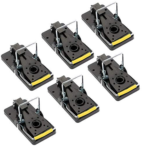 Amison Mouse Traps for Indoors Outdoors That Work Kill Instantly Reusable, Pack of 6