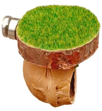omiinitio Cueva Ventilada Para Reptiles Escondites Para Arañas Saltando Recinto Con Base Magnética Para Terrarios Fácil Instalación Recinto Para Arañas Saltando De Madera
