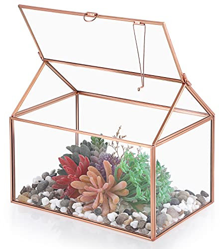 SUMTree Geometrisches Pflanzen-Terrarium aus Roségold, Glas, mit Schwingdeckel, Luftpflanzen-Displaybox für Blumen, Sukkulenten (Gold)