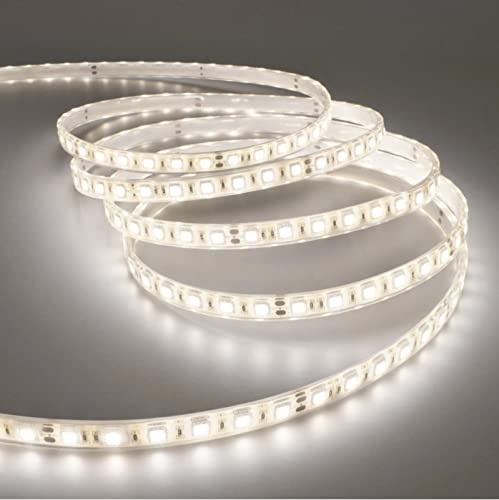 Evotrade Tiras LED premium al metro (60 diodos por m) 24 V/IP20 11 W/m (luz fría 6000 K / 1 m)