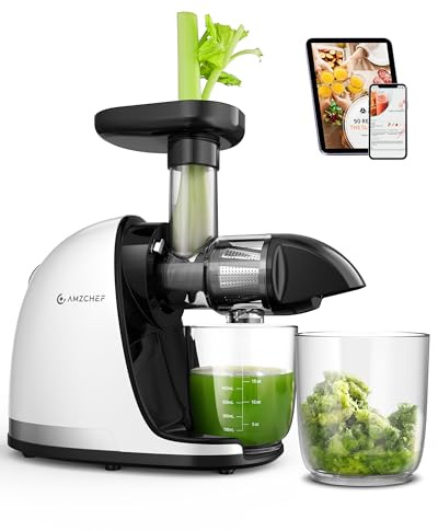 AMZCHEF Juicepress Slow Juicer grönsaker och frukt – testvinnare juicepress elektrisk med bakåtvänd tuggfunktion – delikat krossning, lätt att rengöra med borste och 2 koppar – vit
