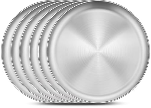 Homikit 6 Pack Stainless Steel Plate Set, 10.2 Inch Metal Kids Dinner Plates for Children Adult, Round Camping Plates for Serving Dishes Dessert Salad, Non Toxic & Reusable, Dishwasher Safe