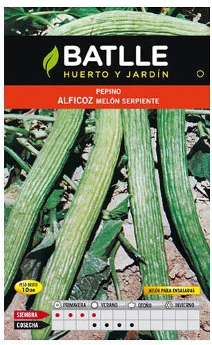 seedsown 100 graines - Belle Basilic Citron Bio Ocimum basilicum