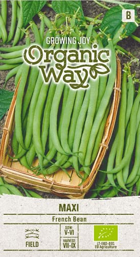 Organic Way | HARICOT NAIN MAXI des graines | Graines de légumes | 1 Paquet