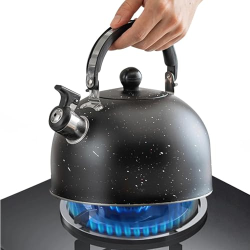 Hervidor de silbato – Olla de acero inoxidable con mango ergonómico | Hervidor de agua caliente inoxidable de 2,5 l con silbato fuerte para cocina de gas, cocina eléctrica, placa de inducción