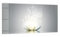 DEQORI Quadro in vetro vero | motivo fiore di loto scintillante | orizzontale unico pezzo 100 x 50 cm | bella decorazione da parete per soggiorno, camera da letto, corridoio e cucina | moderna