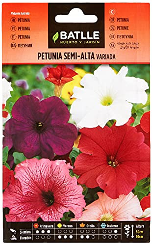 Semi di fiori – Petunia semi alto variato – Batlle