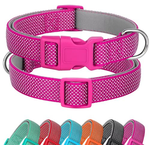 Didog Reflektierendes Hundehalsband mit Schnalle, verstellbar, weiches Neopren, gepolstert, Nylon, Haustierhalsbänder für kleine, mittelgroße und große Hunde, Hot Pink, S