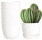 Youngever 8 Pack 14CM Plastic Planters with Saucers, Indoor Flower Plant Pots, Modern Decorative Gardening Pot with Drainage for All House Plants, Flowers, Herbs, Succulents and Hanging Plants