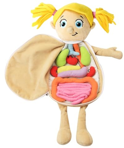Giocattolo Anatomia del Corpo Umano - Apprendimento medico interattivo, modello dimostrativo Scientifico | Set completo di per la Formazione di, Il Gioco di ruolo del medico con un te