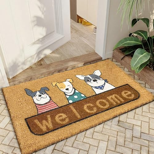 Qingbei Rina Zerbino per esterni con cane, 40 x 70 cm, in fibra di cocco, tappetino per porta d'ingresso esterno con retro antiscivolo, grandi tappetini esterni