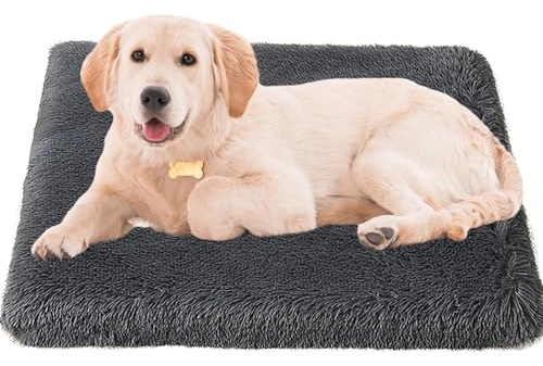Bizcasa Cuccia Cane Taglia Grande, 100x60x8cm, Ortopedica Cuscino per Cani, Sfoderabile e Lavabile, Tappetino per cani, Base Antiscivolo, Materassino Cane Resistente a Morsi e Graffi Cuccia Gatto