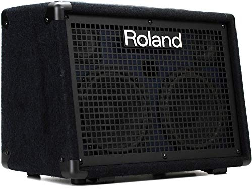 Roland KC-220 Keyboard-Verstärker