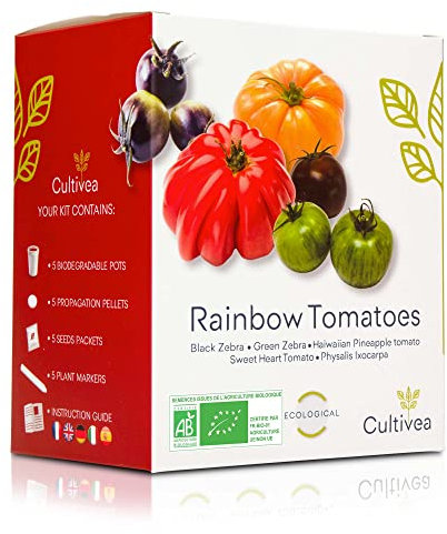 Cultivea® Mini - Kit Prêt à Pousser Tomates colorées - Graines 100% biologiques - Jardinez et dégustez - Idée Cadeau (Black Zebra, Green Zebra, Hawaiian Pineaple,Coeur de Boeuf, Physalis Ixocarpa)