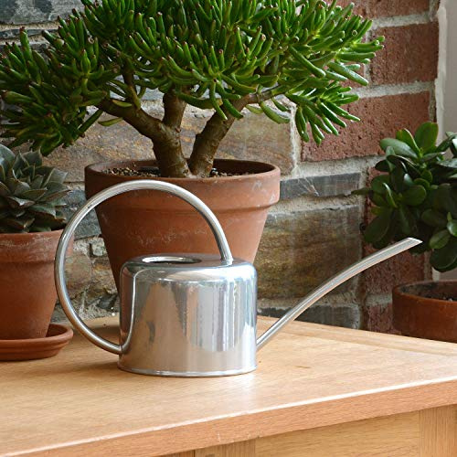 CKB LTD Petit arrosoir d'intérieur de 1.1L en Acier galvanisé avec revêtement en Poudre de Couleur Craie pour Plantes d'intérieur Design Contemporain en métal avec Bec étroit et poignée Haute Argent