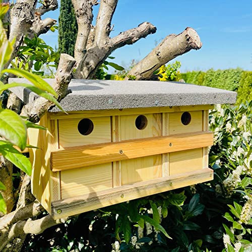 DARLUX Natur Holz Nistkasten 3er Spatzen-Pension Ø 35 mm. I nach NABU gefertigt aus verschraubtem Massiv-Holz I wetterfest I Produziert in Sachsen von Werkstätten für behinderte Menschen I 4,8 kg