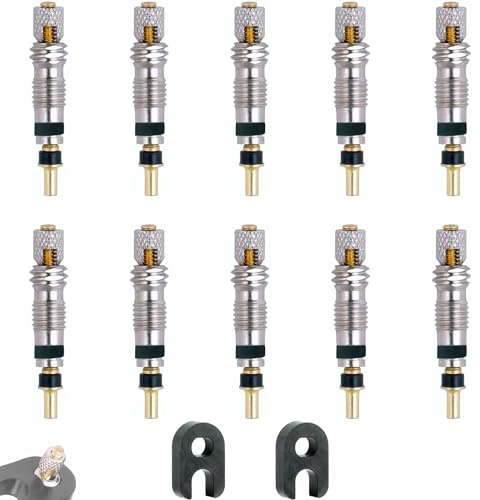 IBRIQO® Set 10 Obuses Válvula Presta 2 Llaves de Obús | Repuesto Válvulas Tubeless Bicicleta MTB y Road | Evita Obstrucción por Liquido Tubeless Antipinchazo | Recambio Válvula Bici