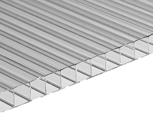 Ezooza Placa de policarbonato alveolar de doble pared 200 x 105 cm grosor 10 mm transparente