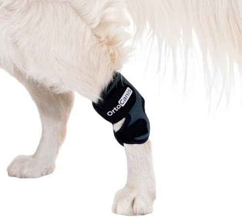 Ortocanis - Sprunggelenkbandage für Hunde - Unterstützung des Tarsus bei Arthrose, Bänderverletzungen und Sehnenentzündungen - Aus ARD-Neopren - Größe: L 16,5-17,5 cm - 13.5-15.5 cm