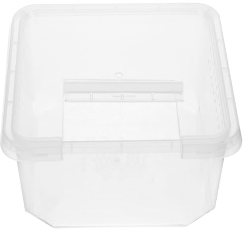 PHENOFICE Feed Bin for Insect Plastic Simple Shape Breeding Box for Reptiles and Scorpion Hatchling Small Animals
